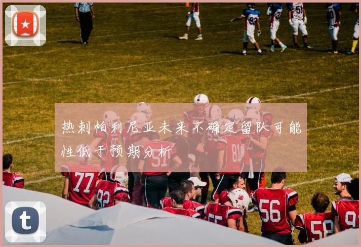 热刺帕利尼亚未来不确定留队可能性低于预期分析